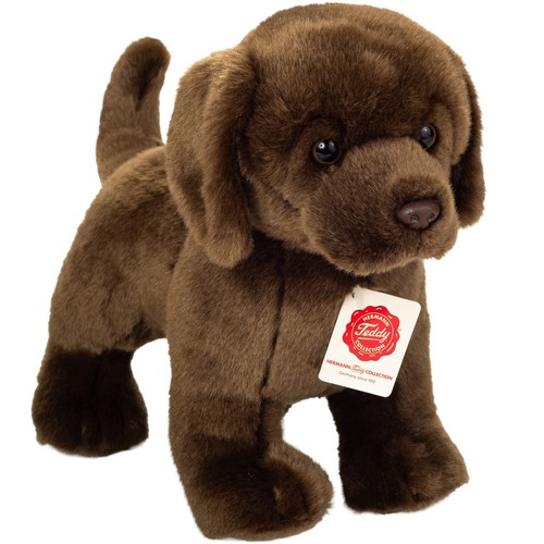 Teddy plüschtier labrador - teddy,