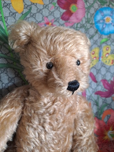 Süßer großer hermann teddy - großer,