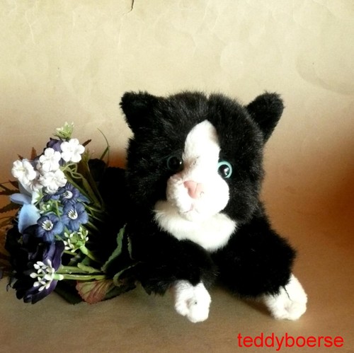 Kuschelige katze cosy - kuschelige,