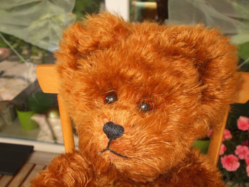 Gelenkiger teddybär von - gelenkiger,