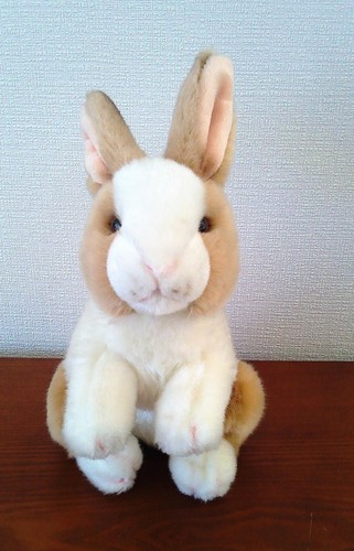 Hase kuscheltier plüschtier - hase,